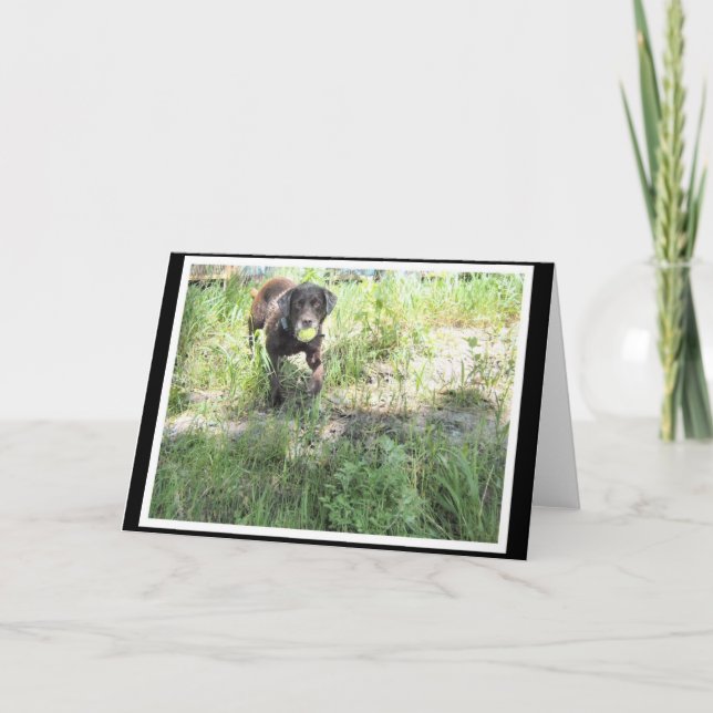 Carte de laboratoire de chocolat (Devant)