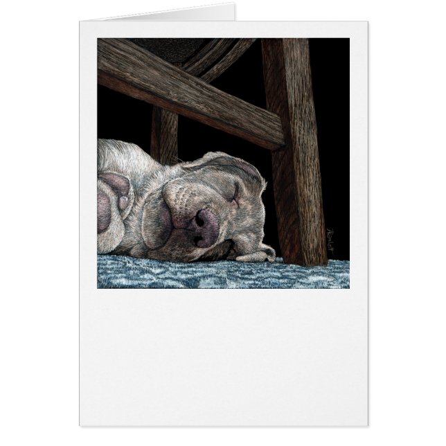 Carte de laboratoire jaune "N'importe quel port po (Devant)