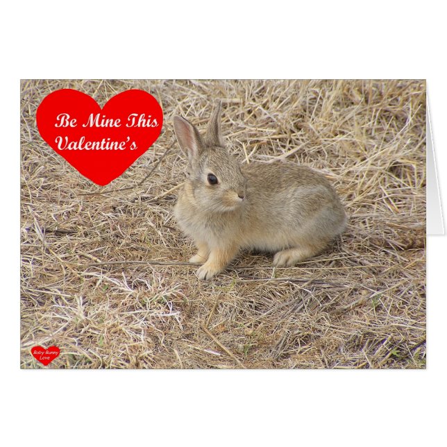 Carte de l'amour 1 de lapin de bébé (Devant horizontal)