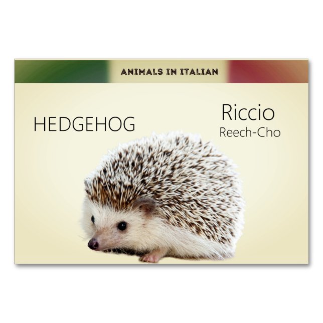 Carte de langue italienne Hérisson animal Flash | (Devant)