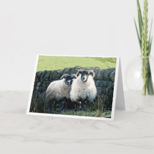 Carte de l'anniversaire du mouton