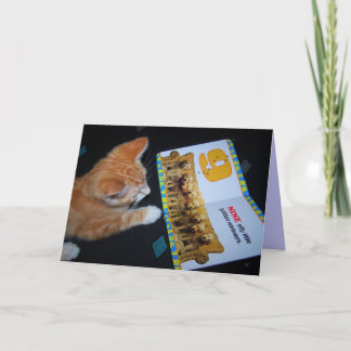 Carte de lecture de chat