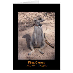 Carte de légendes de Risca