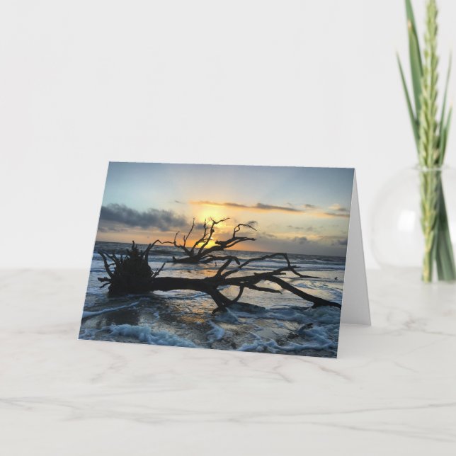 carte de lever de soleil de l'île jekyll #3 (vide  (Devant)