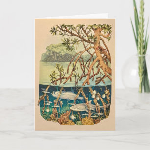 Carte de l'île de la mangrove