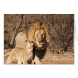 Carte de lion et de CUB de lion