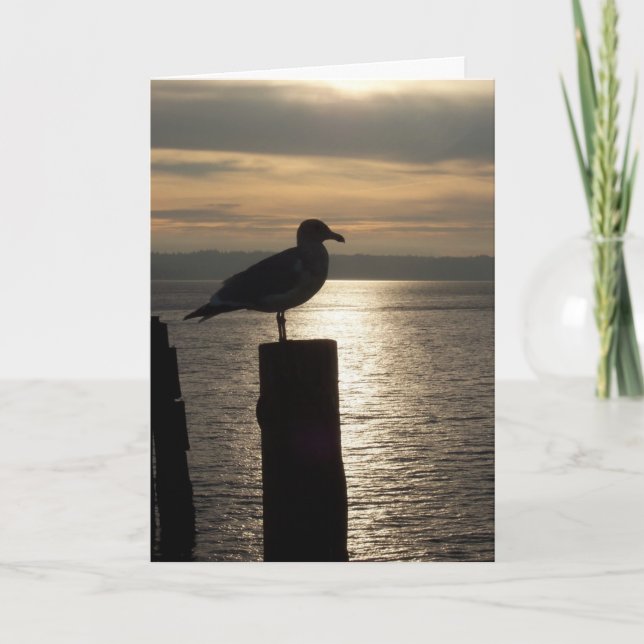 Carte de Lone Seagull (Devant)
