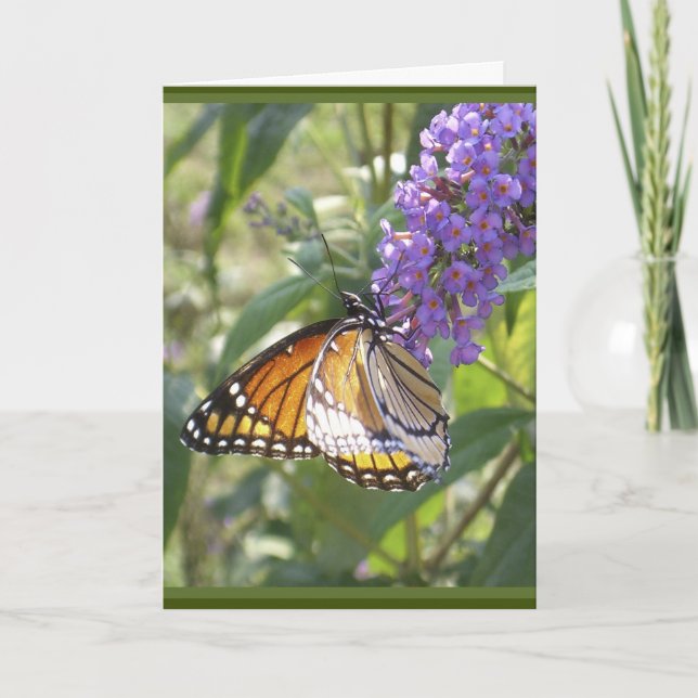 Carte de louange Monarch Butterfly (Devant)
