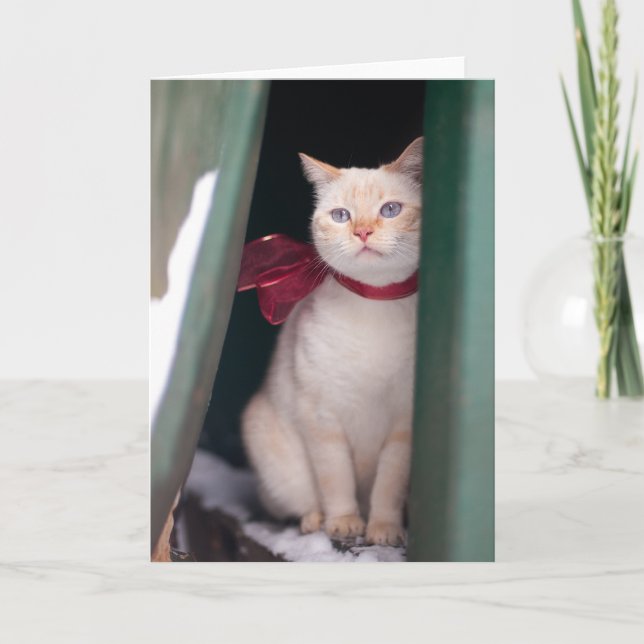 Carte de Lucy (Devant)