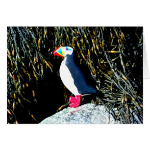 Carte de macareux de l'Atlantique