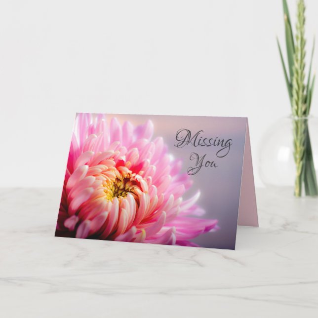 Carte de Macro Photo de Chrysanthème Rose Vous Man (Devant)