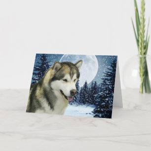 Carte de Malamute d'hiver
