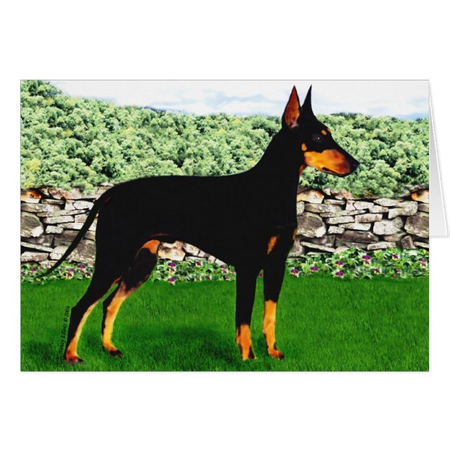 Carte de Manchester Terrier (Devant horizontal)