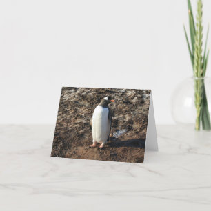 Carte de manchot Gentoo (HO)