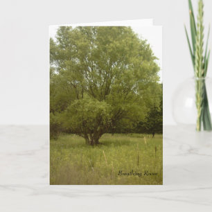 Carte de marge de man?uvre