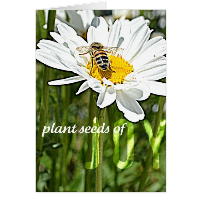 Carte de marguerite de joie (Devant)