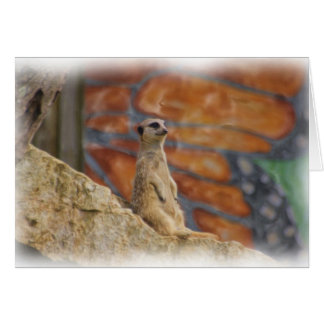 Carte de Meerkat