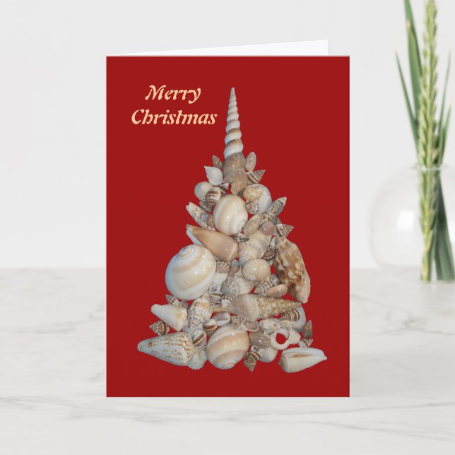 Carte de merveilleuses coquilles de vacances (Devant)