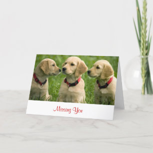 Carte de Missing You Golden Retriever