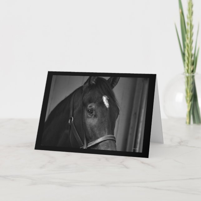 Carte de modèle de carte blanche Cheval (Devant)