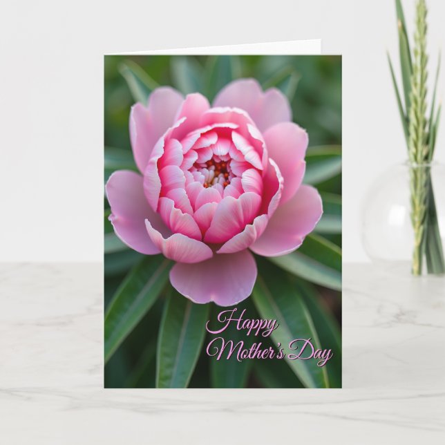 Carte de motif Rose Radieuse (Devant)