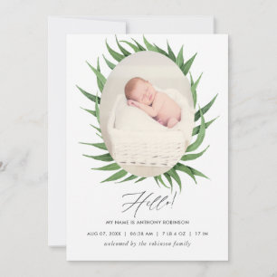 Carte de naissance de succulente à l'aquarelle