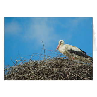 Carte de nid de Stork