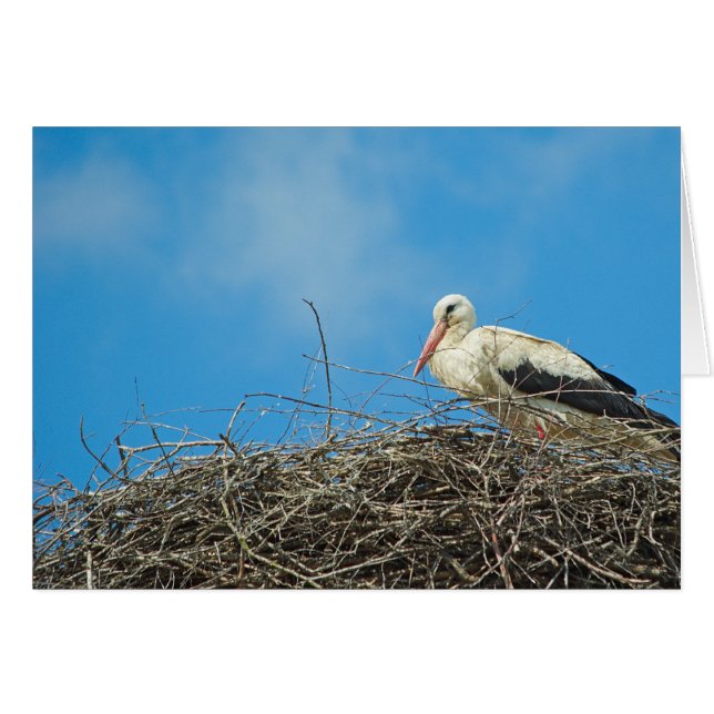 Carte de nid de Stork (Devant horizontal)