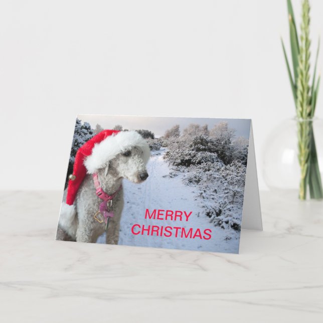 Carte de Noël (Devant)