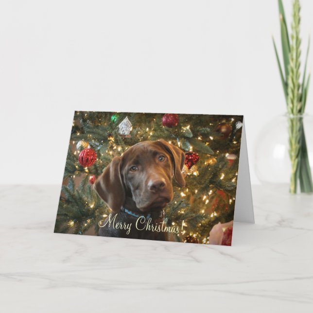 Carte de Noël (Devant)