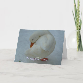 Carte de Noël