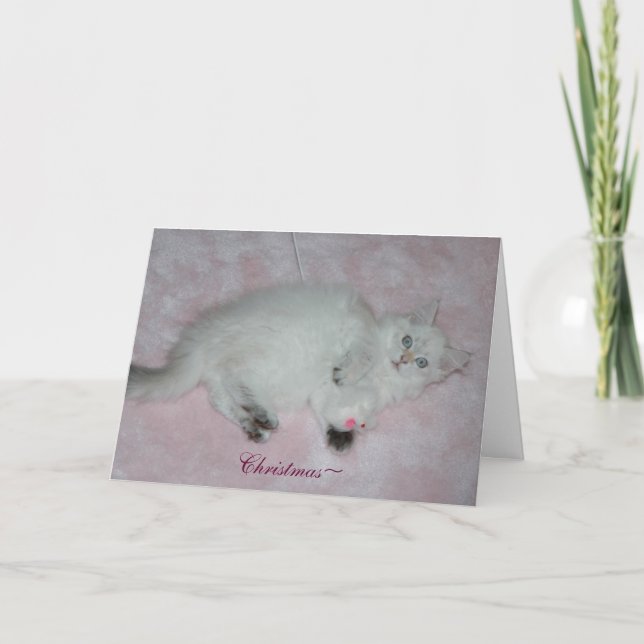 Carte de Noël (Devant)