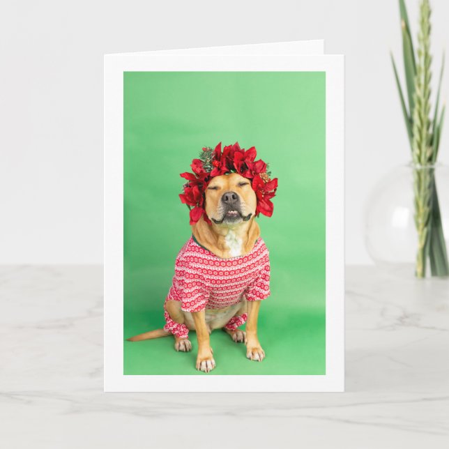 Carte de Noël (Devant)