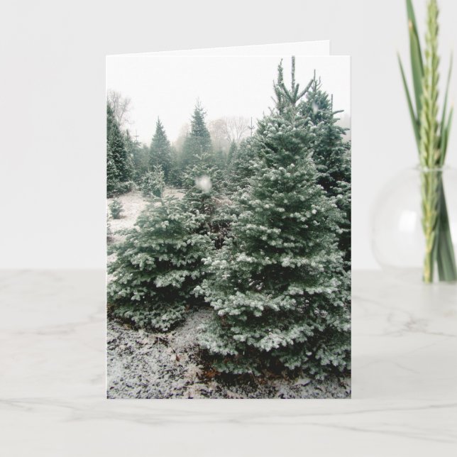 Carte de Noël (Devant)