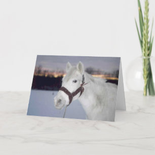 Carte de Noël 2005 de l'OMRH Photo Mention honorab