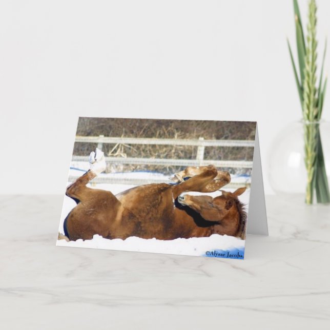 Carte de Noël 2005 OMRH Mention honorable (Devant)