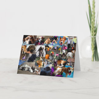 Carte de Noël 2013