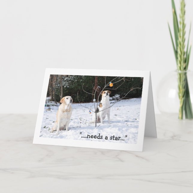 Carte de Noël, 2 chiens dans la neige regardant (Devant)