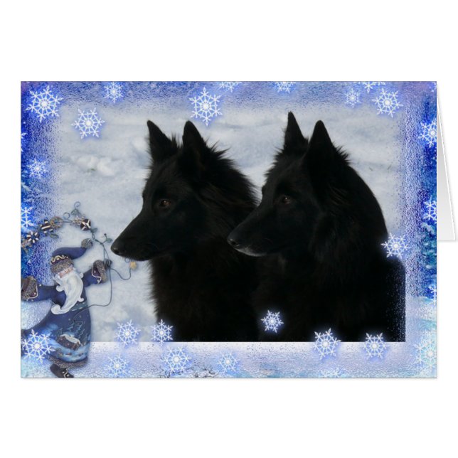 Carte de Noël 2 Groenendaelers (Devant horizontal)