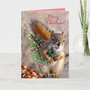 Carte de Noël 5 x 7" M. Bickles