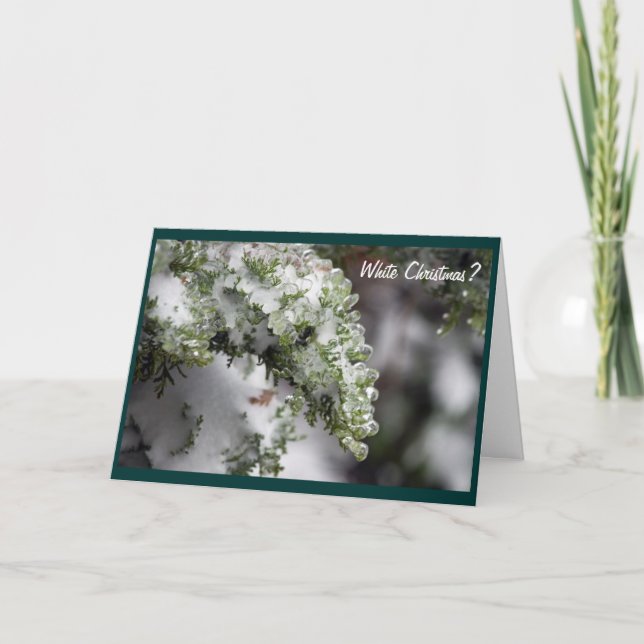 Carte de Noël À feuillage persistant Icy (Devant)