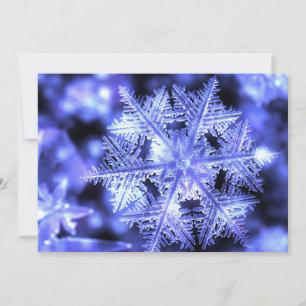 Carte de Noël à plat pour l'hiver