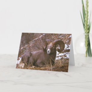 Carte de Noël à ram