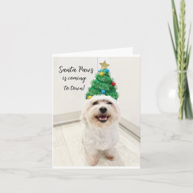 Carte de Noël adorable Bichon Maltais avec le Père (Devant)