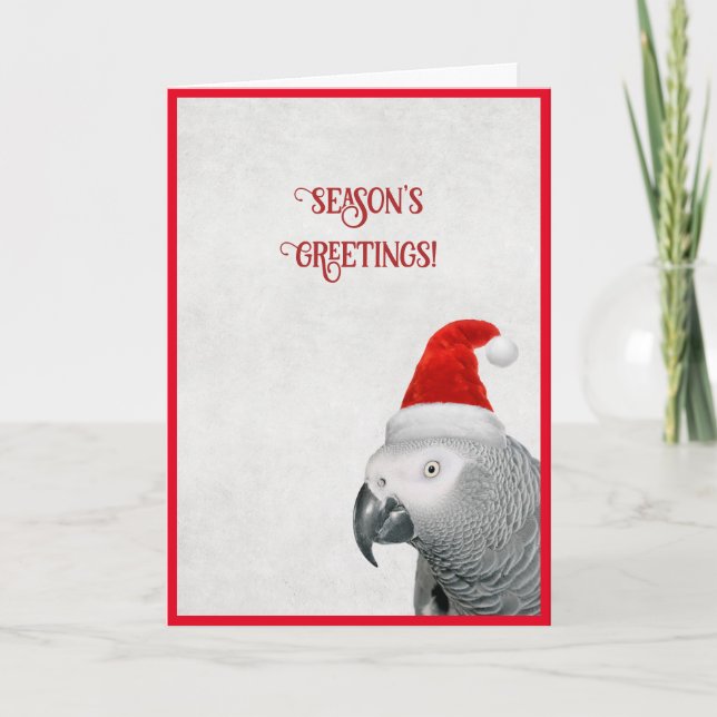 Carte de Noël African Grey Parrot (Devant)