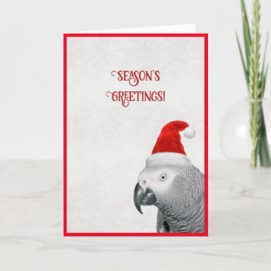 Carte de Noël African Grey Parrot