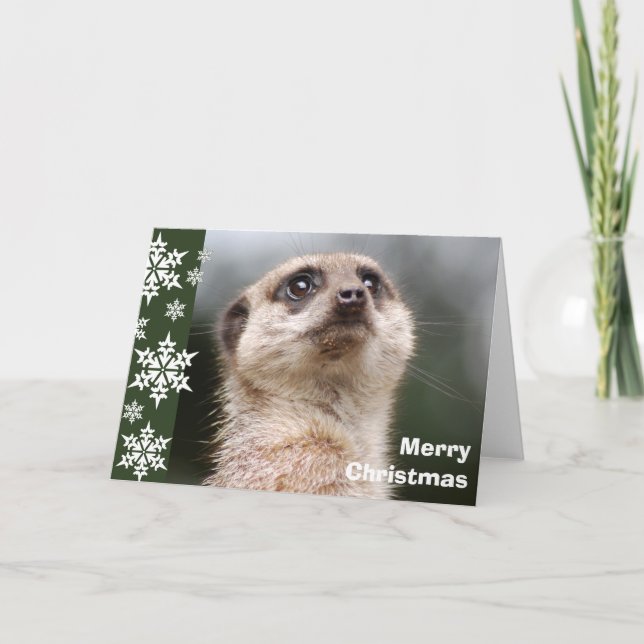 Carte de Noël Alert Meerkat (Devant)