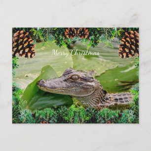 Carte de Noël Alligator