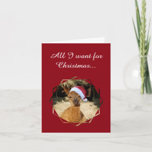 Carte de Noël Alpaca