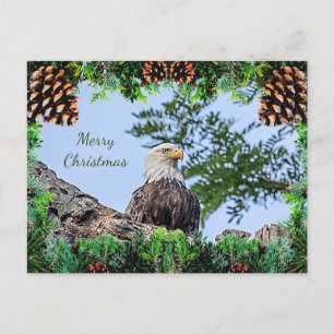 Carte de Noël American Bald Eagle